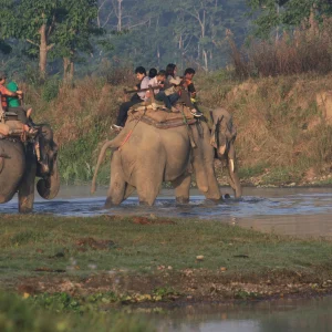 Chitwan National park Safari Tour 2 Nights 3 Days
